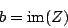 \begin{displaymath}
b = \mathrm{im}(Z)
\end{displaymath}